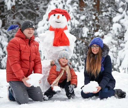 Кешбэк 20% по картам «МИР» - на зиму и весну!